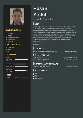 Havacılık Ve Uzay Uçak Mühendisi Cv Örnekleri cv indir